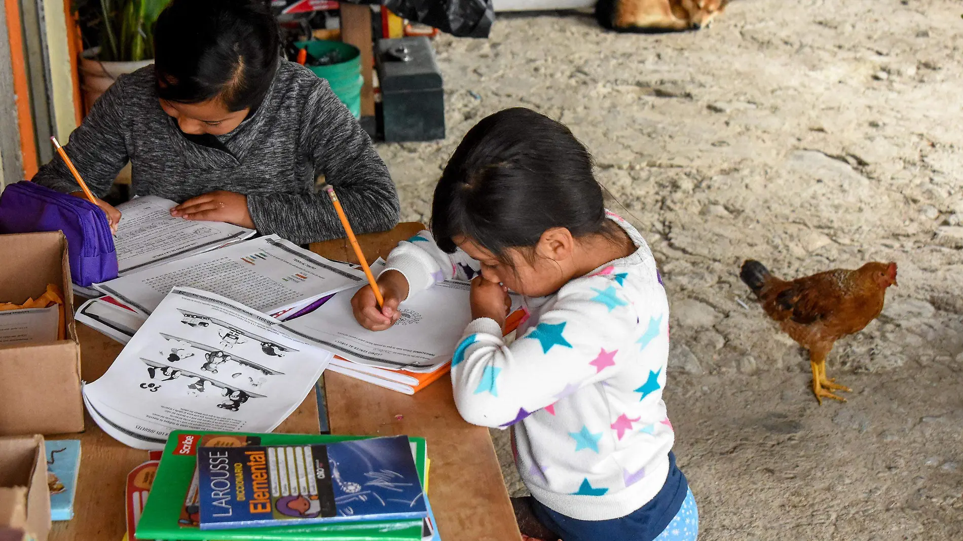 260820_EDUCACION EN CASA Y ESCUELA _YLM (2)